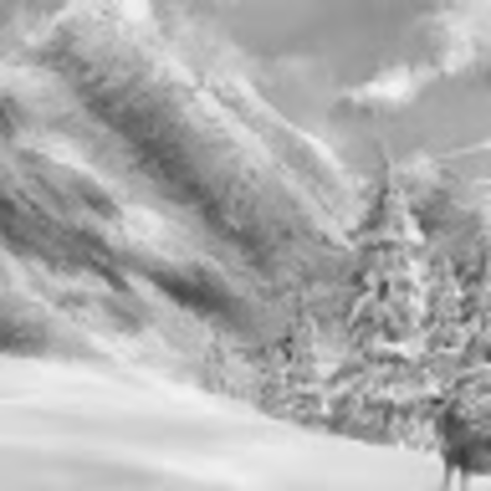 Meet your Posher, Aimee